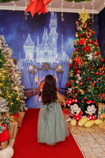 fotografa_familia_curitiba_natal_2025_mickey_disney