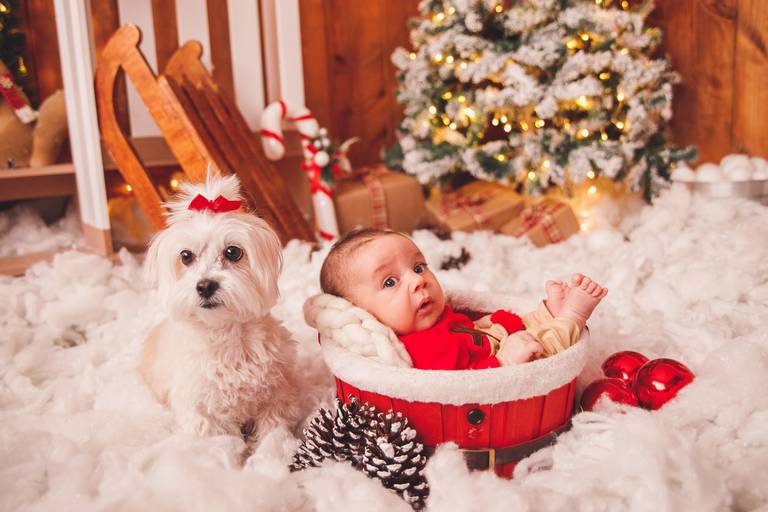 fotógrafa_família_curitiba_natal