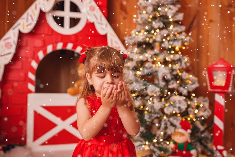 fotógrafa_família_curitiba_natal