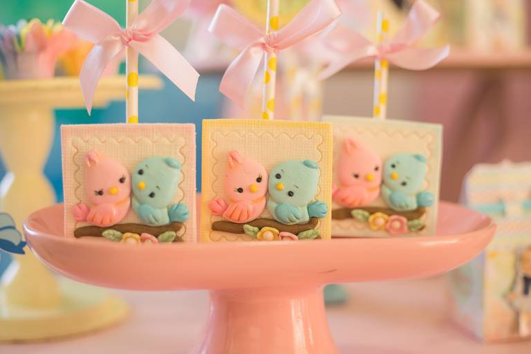 Fotografia - Festa de Aniversário infantil - Florianópolis Santa Catarina