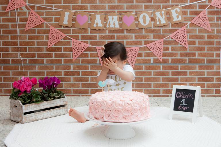 smash the cake de menina, decoração smash the cake clean, bolo rosa, cake smash, smash the cake em casa, brooklyn, zona sul, são paulo