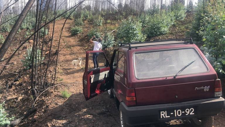 heldercouto, heldercoutophoto