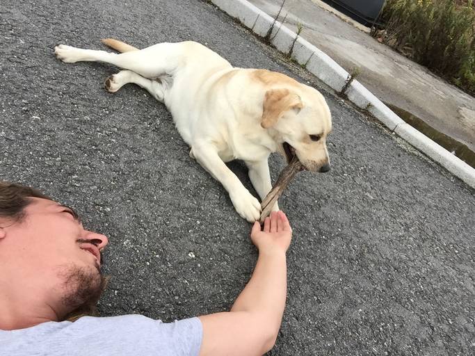 heldercouto, heldercoutophoto