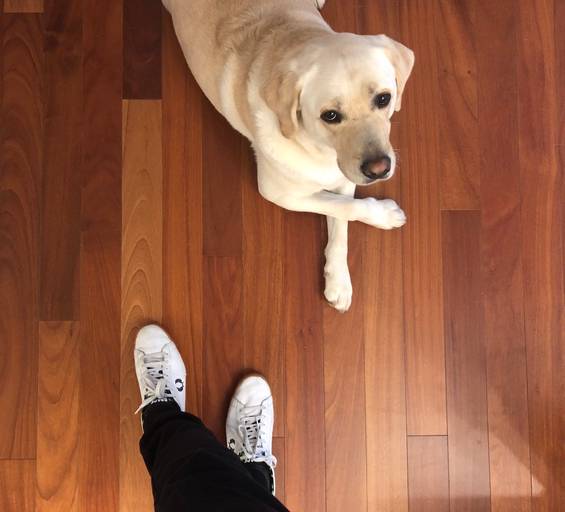 heldercouto, heldercoutophoto