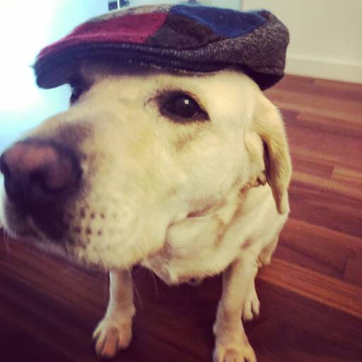 heldercouto, heldercoutophoto