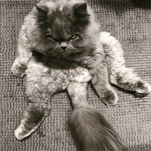 heldercouto,heldercouto, heldercoutophoto heldercoutophoto