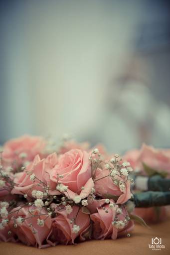 Fotos de casamento em BH