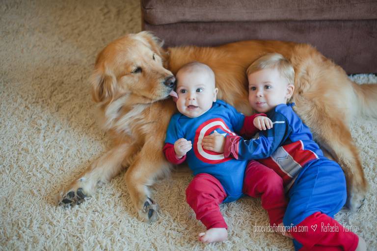 FOTO BOOK INFANTIL MENINOS E CÃO   CAXIAS DO SUL-RS