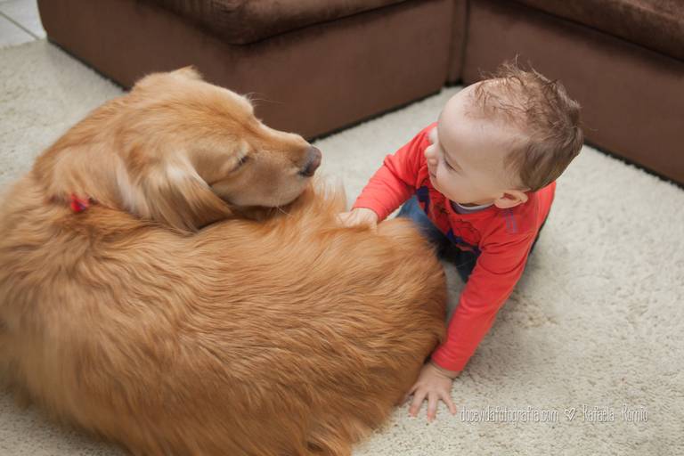 FOTO BOOK INFANTIL MENINO E CACHORRO CAXIAS DO SUL-RS