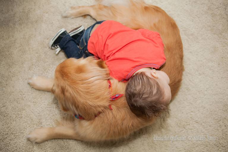 FOTO BOOK INFANTIL MENINO E CACHORRO CAXIAS DO SUL-RS