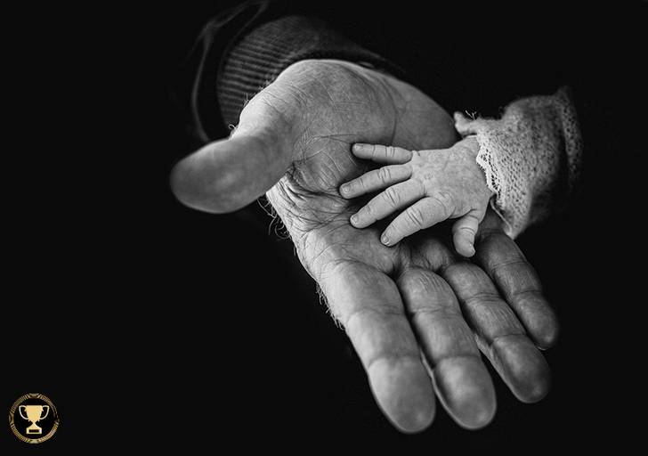 Destaque ELPA - 2020