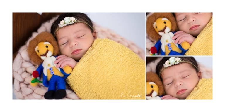  Ensaio de Recem nascido com tema Disney Bela e a Fera