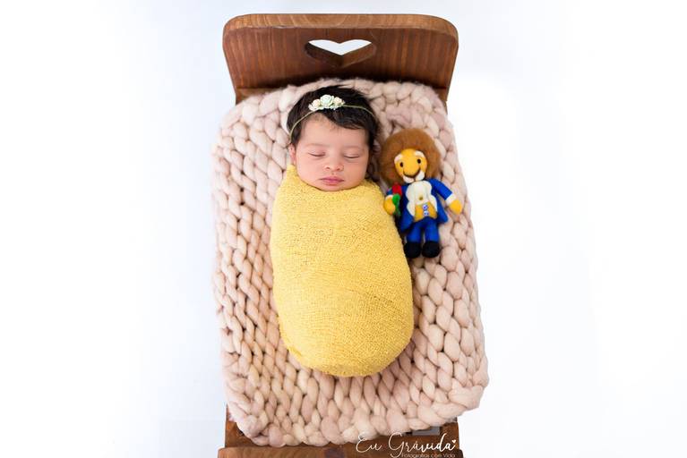 Ensaio Newborn de Menina com tema da Disney Bela e a Fera, em caminha de madeira