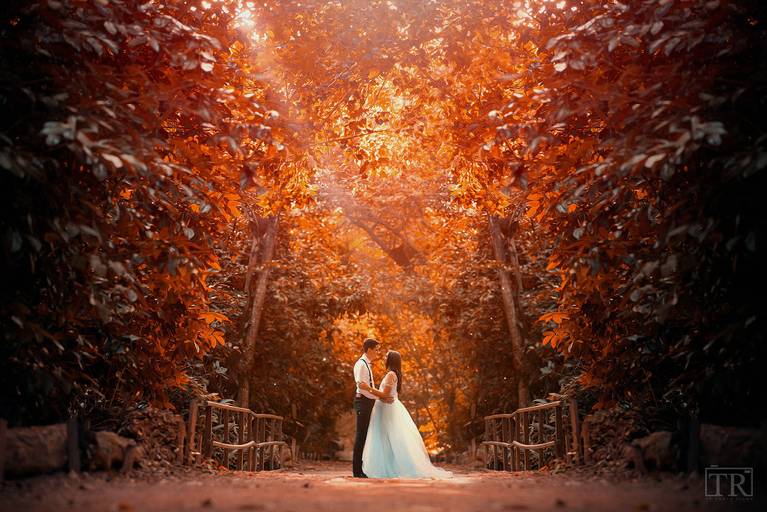 Fotógrafo de Casamento Fortaleza 