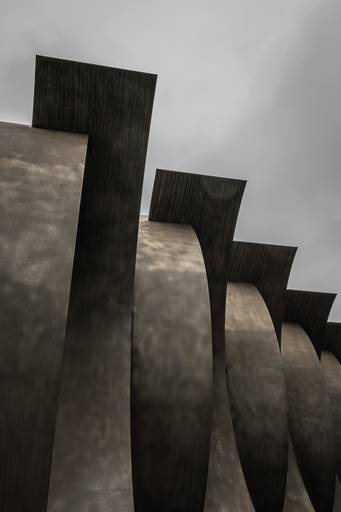 Amigos del Bellas Artes