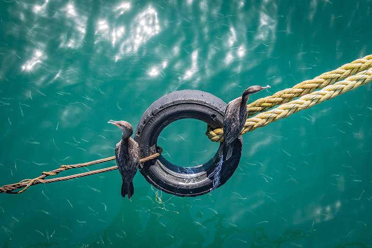 2019 | Primer Premio Concurso 