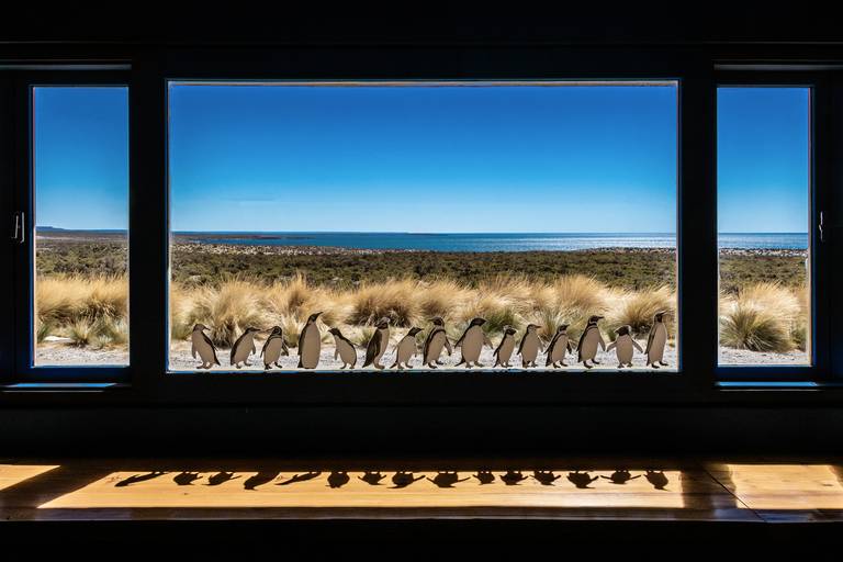 2020 | Mención de Honor Concurso 