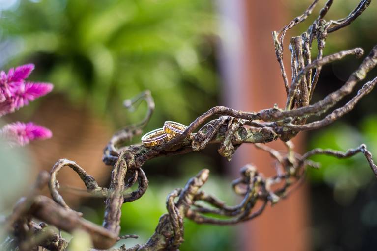 alianças do casal-isabela lucena fotografia