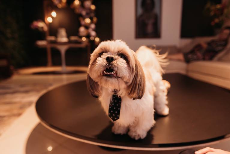 aniversario recife Isabela Lucena fotografia