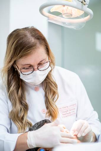 Fotografia profissional de eventos empresariais, convenções e palestras. Retratos corporativos e fotos de perfil profissional para LinkedIn, site institucional e branding pessoal.