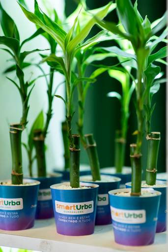 Fotografia empresarial e eventos corporativos com imagens profissionais de alta qualidade. Retratos corporativos e fotos de perfil profissional para LinkedIn e comunicação empresarial.