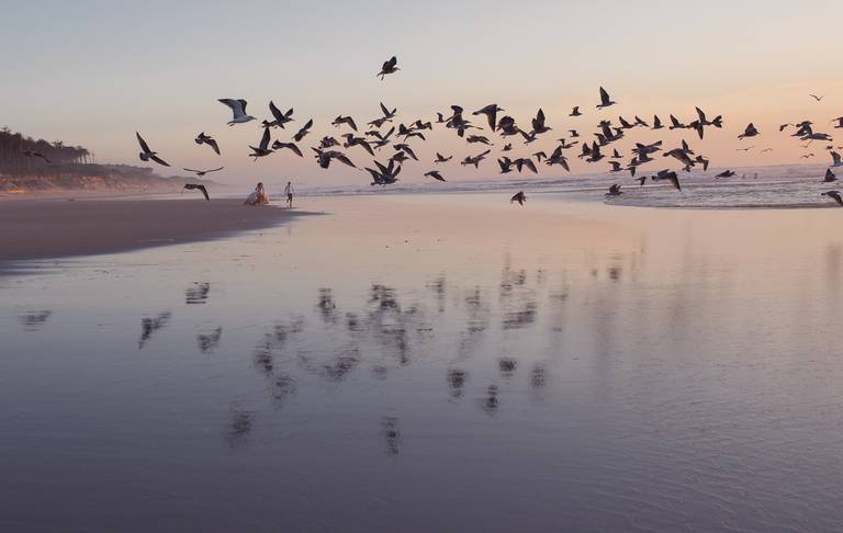 Praia de Maceda noivos