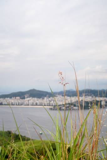 vista panorâmica do rio