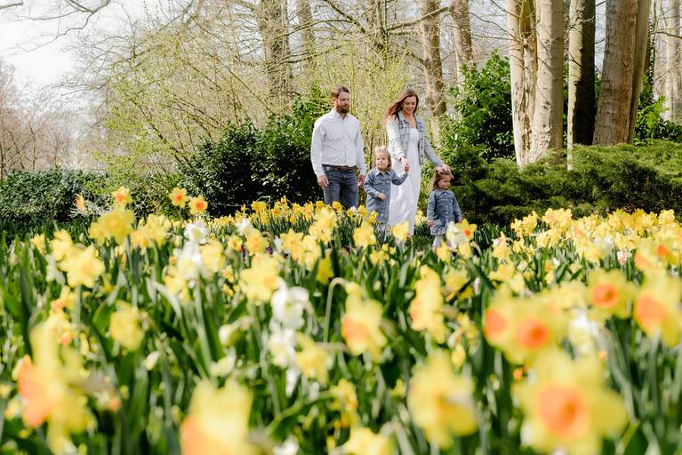 Family enjoying a spring walk through yellow daffodils at Keukenhof, captured during their Amsterdam holiday photoshoot.