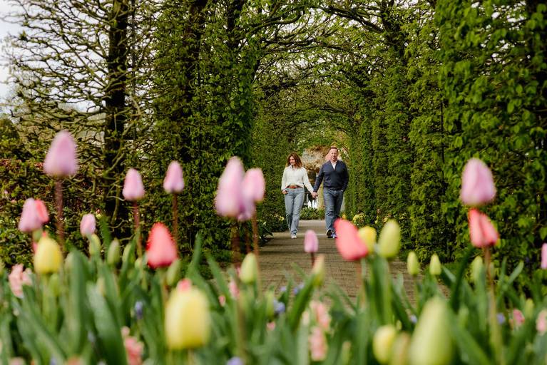 Couple holding hands while exploring Keukenhof Gardens during a tulip photoshoot, with pink and yellow tulips in the foreground. A favourite activity for visitors looking for photo experiences near Amsterdam.”