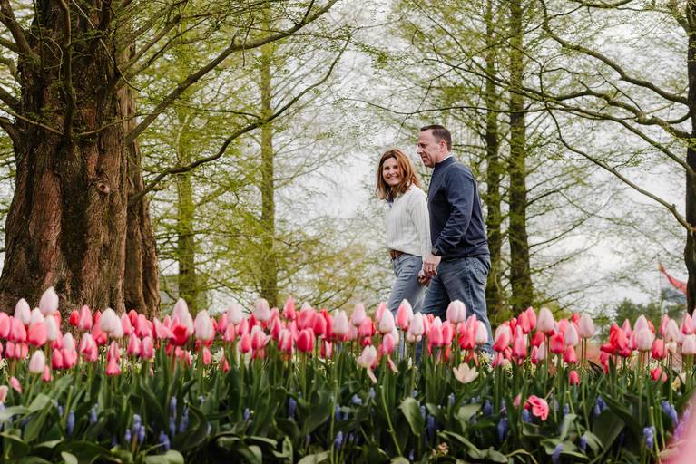Couple walking through Keukenhof Gardens during a spring trip to the Netherlands, with pink tulips and tall trees behind them. Perfect inspiration for visitors planning a photoshoot close to Amsterdam.