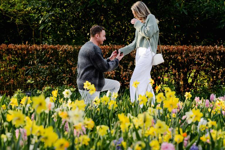 Man proposing on one knee among yellow and pink flowers in Keukenhof Gardens. She reacts with her hand covering her mouth. A true surprise proposal at a quiet, hand-picked location chosen with the photographer’s guidance.