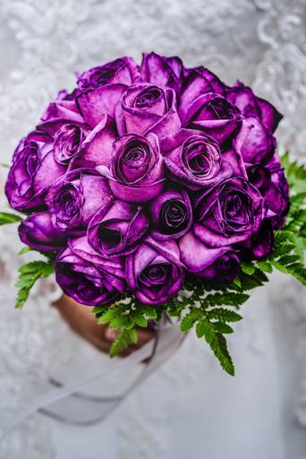 bruiloft fotograaf, trouwfotograaf amsterdam, fotograaf huwelijk,bruiloft fotografie.  Trouwfotograaf & Bruidsfotografie in Amsterdam, trouwfotograaf zoeken