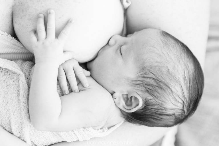 Fotografia de Recém-Nascidos (newborn) - Banho de Arte