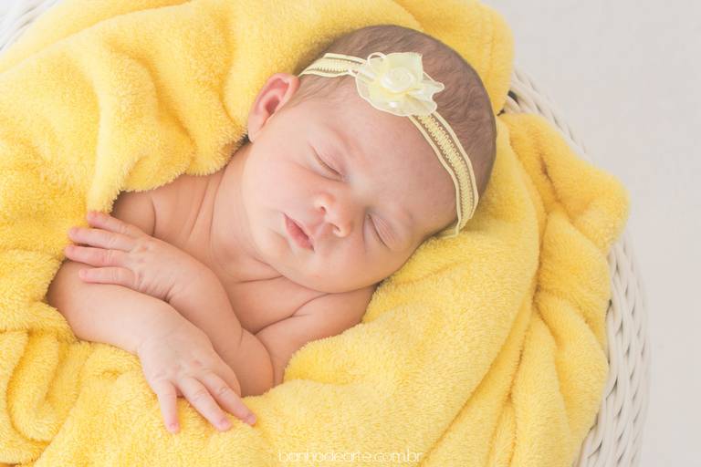 Fotografia de Recém-Nascidos (newborn) - Banho de Arte