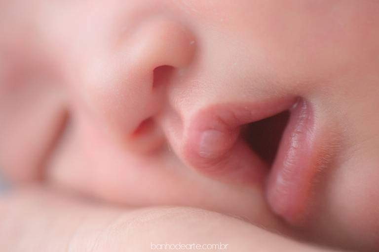 Fotografia de Recém-Nascidos (newborn) - Banho de Arte