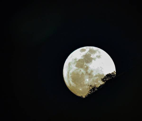 Lua Cheia- Pedra Mafort- 
São Pedro da Serra- RJ