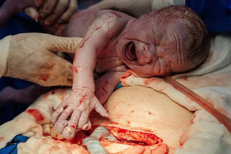 Eis que nasce uma nova vida