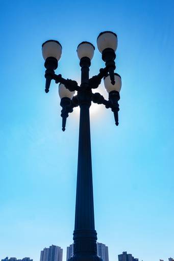 Botanic Garden Curitiba Paraná Brazil