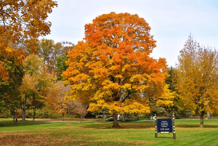 Cityscape Toronto, Canada