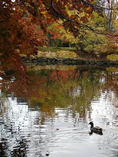 Halifax, Nova Scotia, Canada