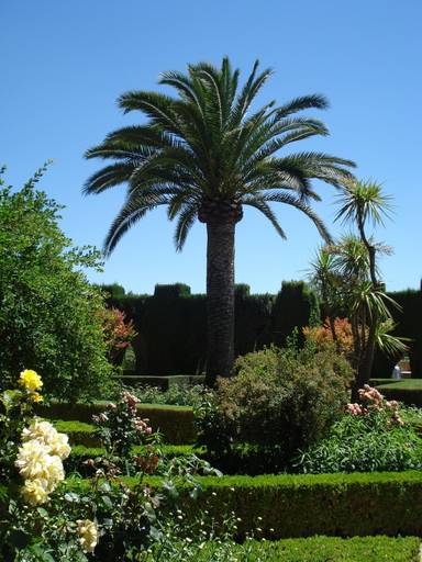 Vista dos Jardins internos do complexo Alhambra, Granada, Andaluzia - Espanha