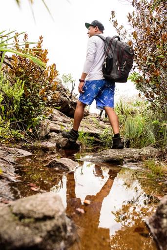 Trilha das Andorinhas