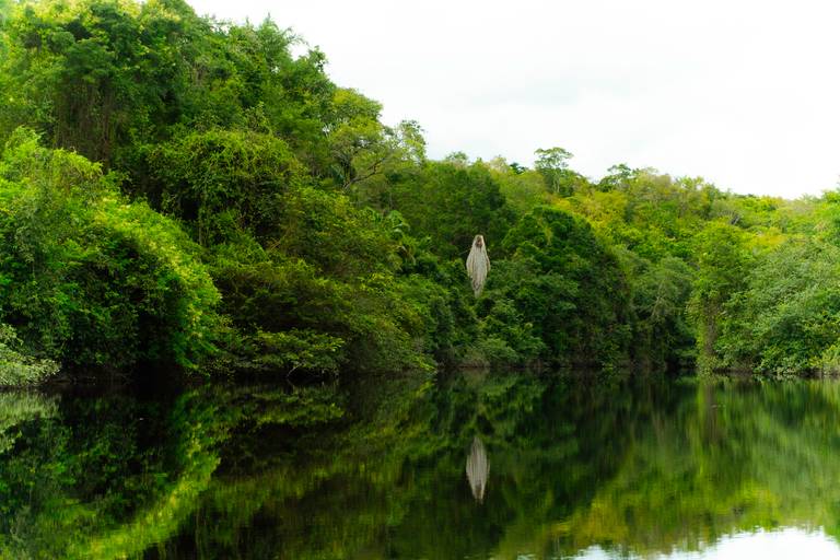 Mine Pantanal Marimbus