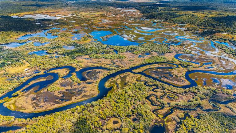 Mine Pantanal Marimbus