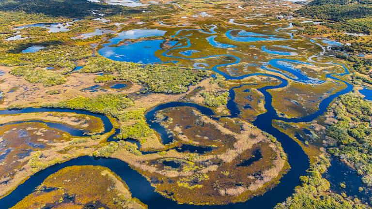 Mine Pantanal Marimbus
