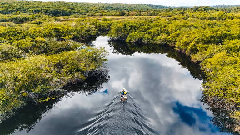 Mine Pantanal Marimbus