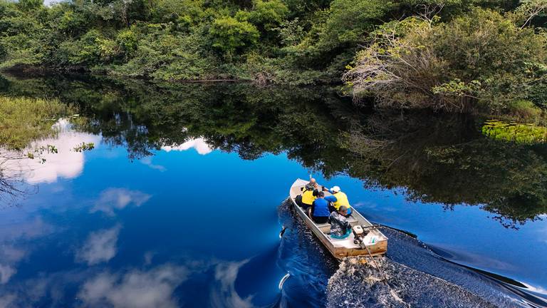 Mine Pantanal Marimbus
