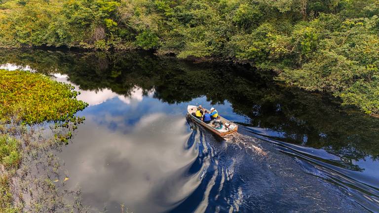 Mine Pantanal Marimbus