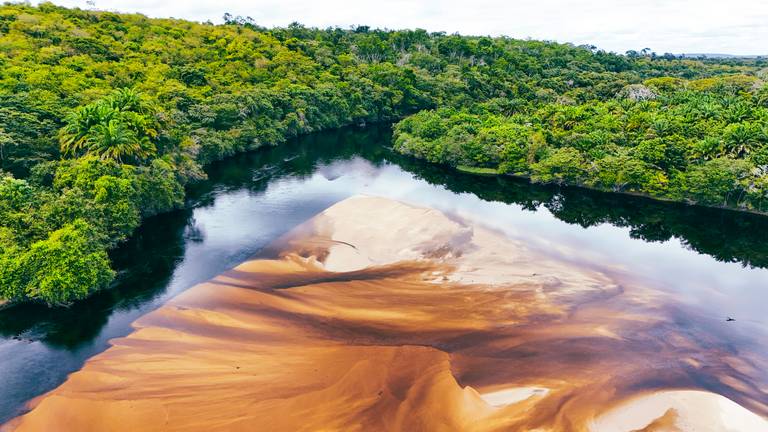 Mine Pantanal Marimbus