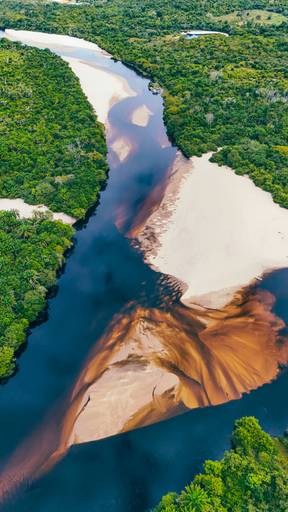 Mine Pantanal Marimbus